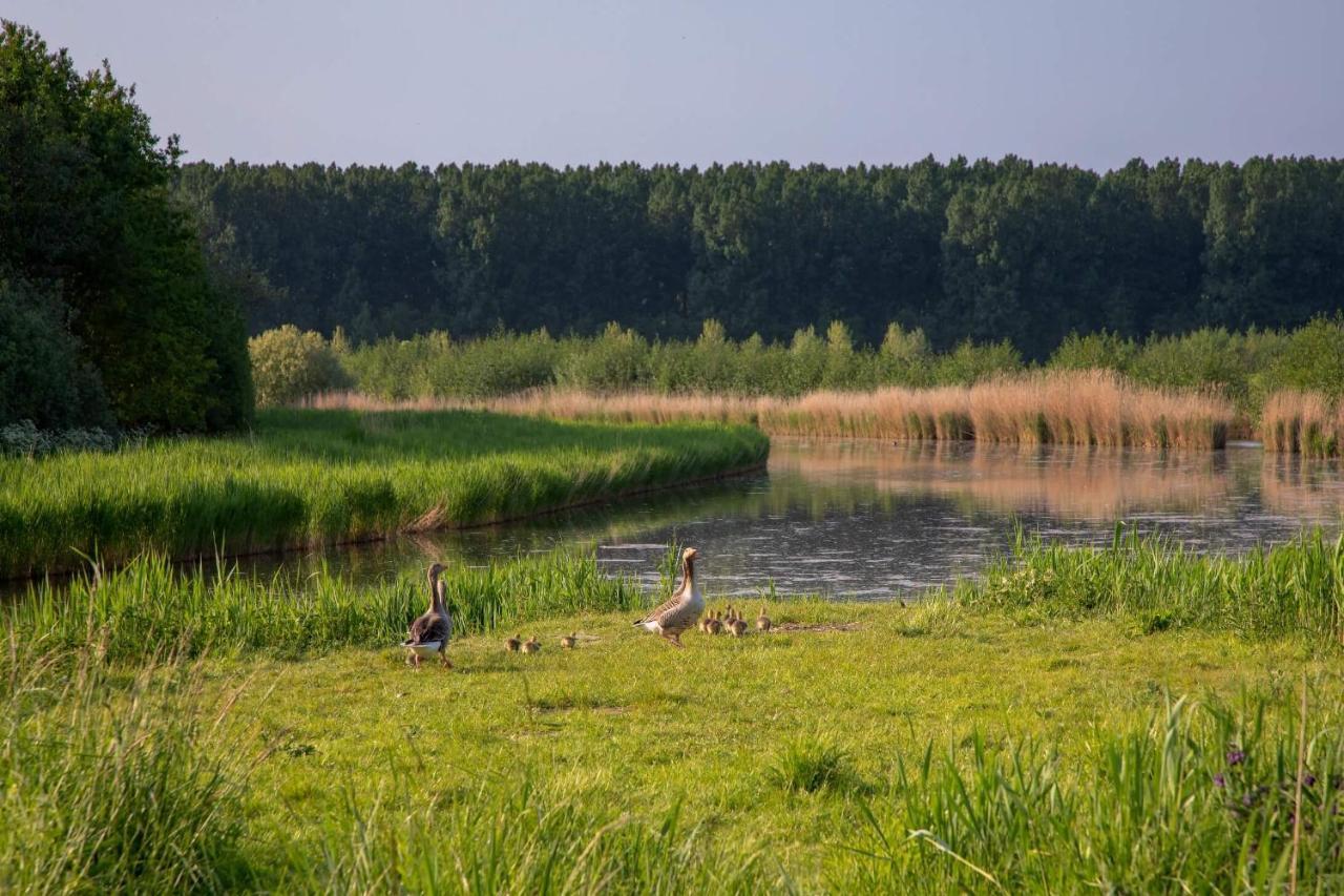Apartament Waterland Ooltgensplaat Zewnętrze zdjęcie